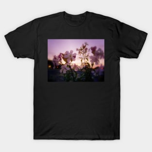 wildflowers & Columbia River sunset 2 T-Shirt